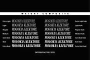 Mogokya Klektore, a Serif Font by Differentialtype (Thumbnail 11 of 11)