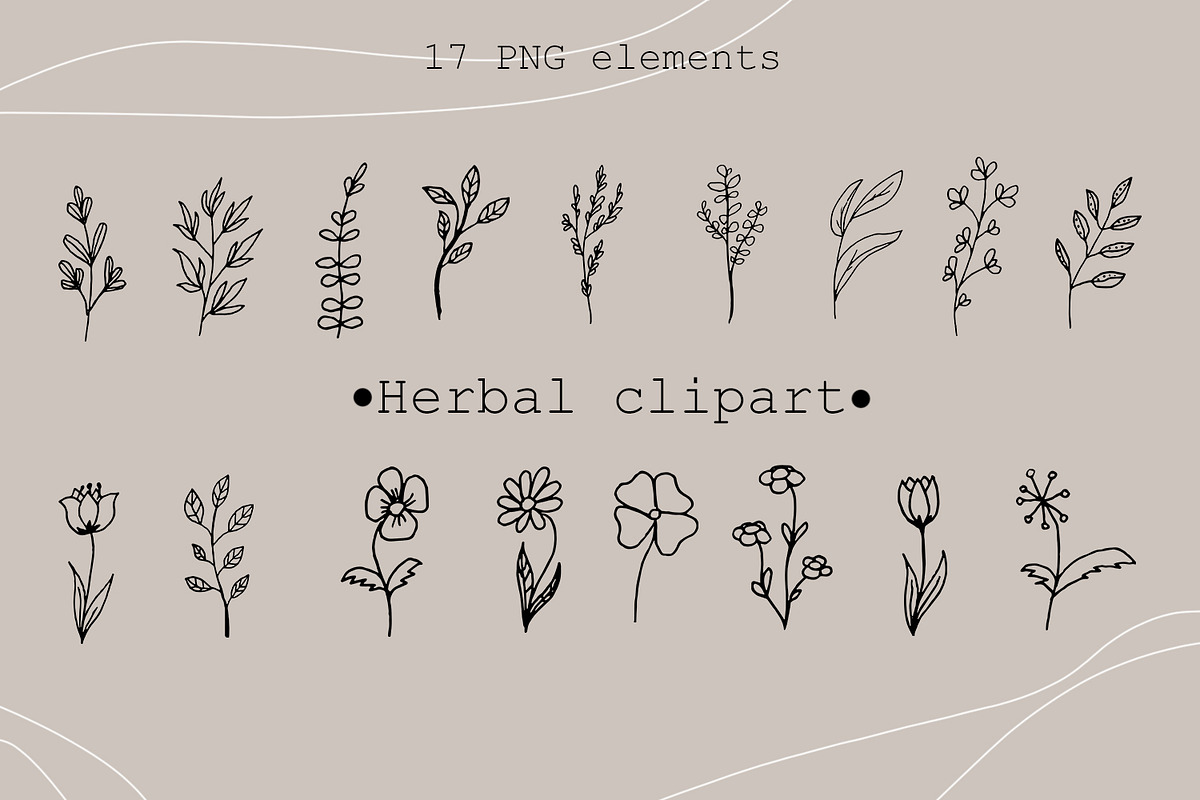 Modern herbal clipart, an Illustration by SleptArt (Photo 1 of 3)