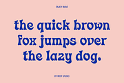 Enjoy Wave - A Groovy Font, a Sans Serif Font by RedyStudio (Thumbnail 10 of 10)