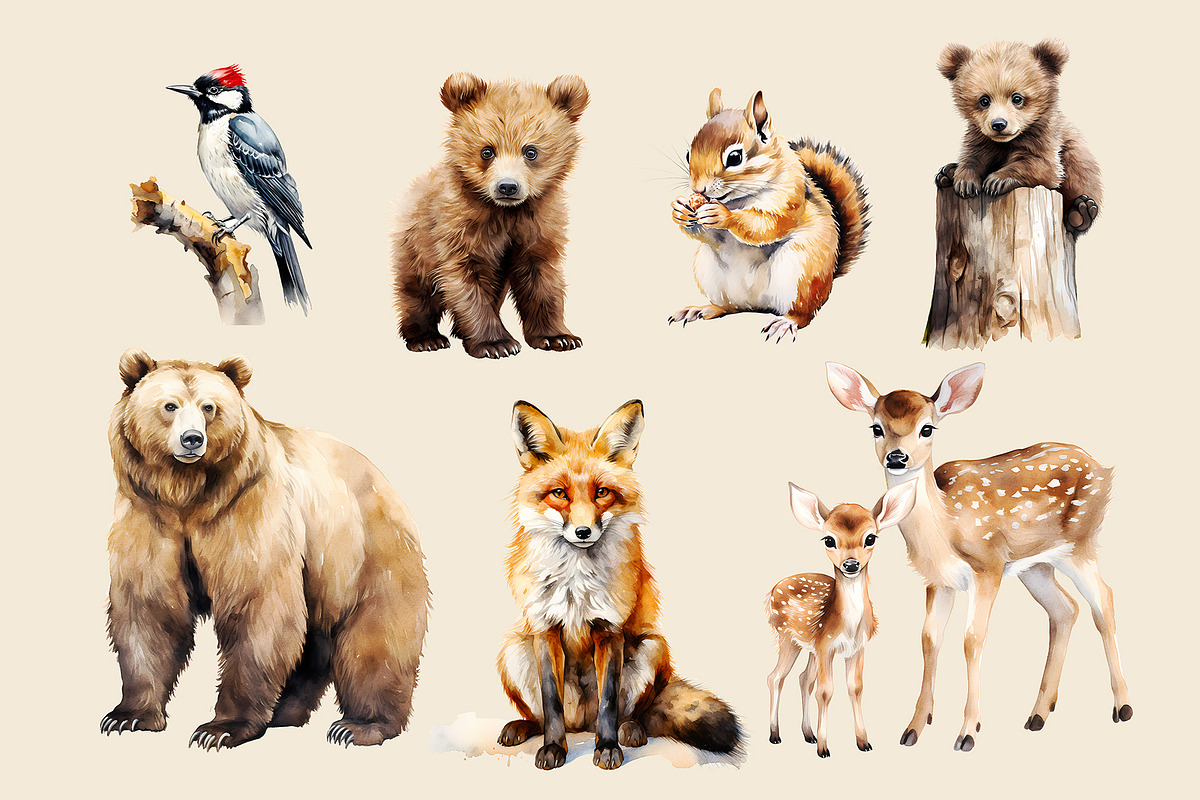 Watercolor Woodland Animals Clipart, an Animal Illustration by Primrose Blume (Photo 4 of 8)