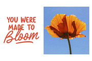 Doodle Cream - Handwritten Font Duo, a Handwritten Font by Littlehand (Thumbnail 6 of 10)