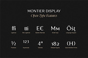 Montier Elegant Display, a Sans Serif Font by Glowtype (Thumbnail 14 of 15)