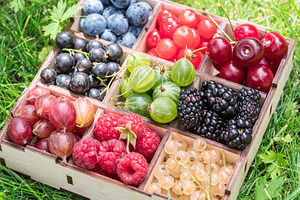 Summer berries in wooden box on the, a Photo by Volff