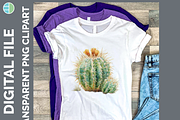 Cactus Succulent Illustration Bundle, an Animal Illustration by Enliven Designs (Thumbnail 4 of 8)