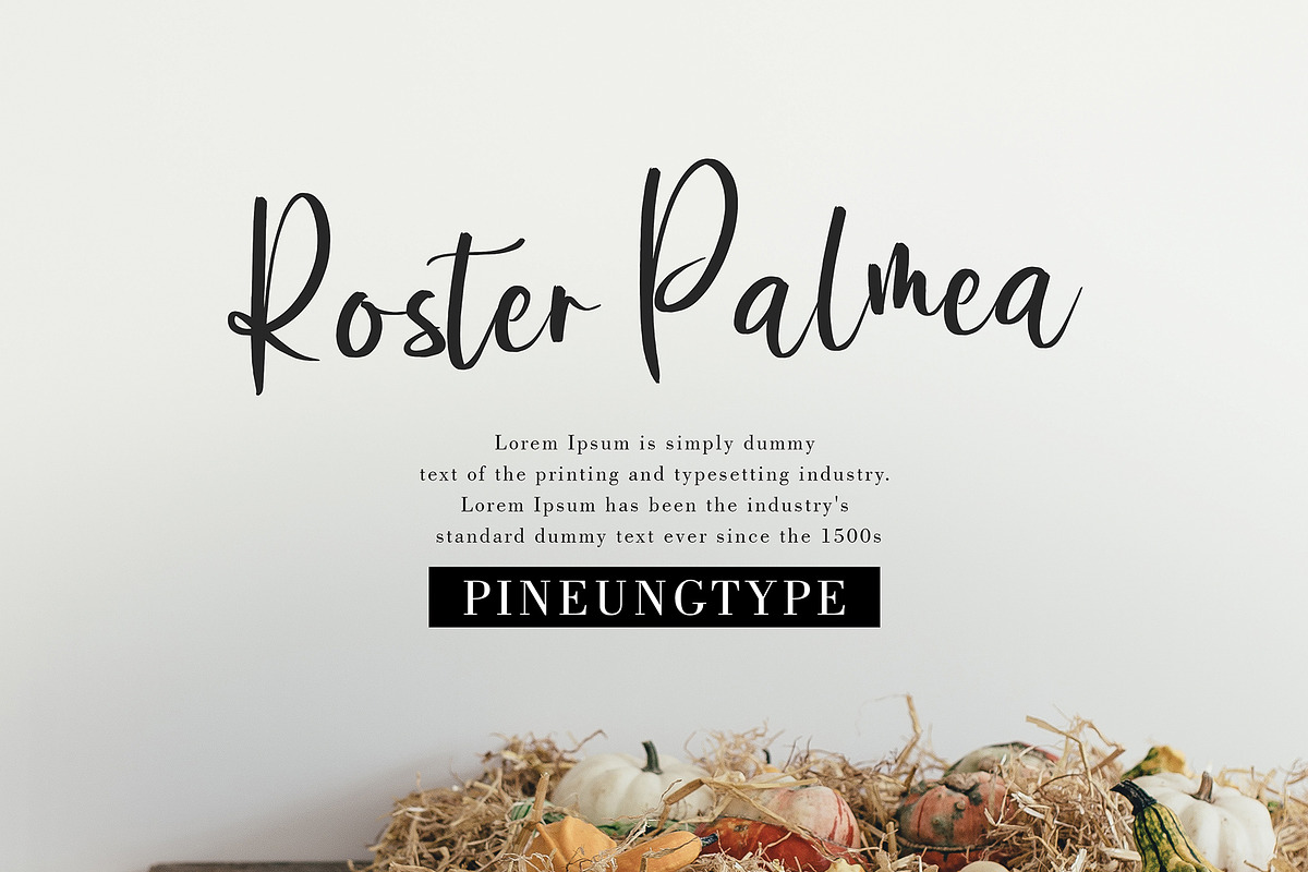Bermesta, a Script Font by pineungtype (Photo 5 of 8)