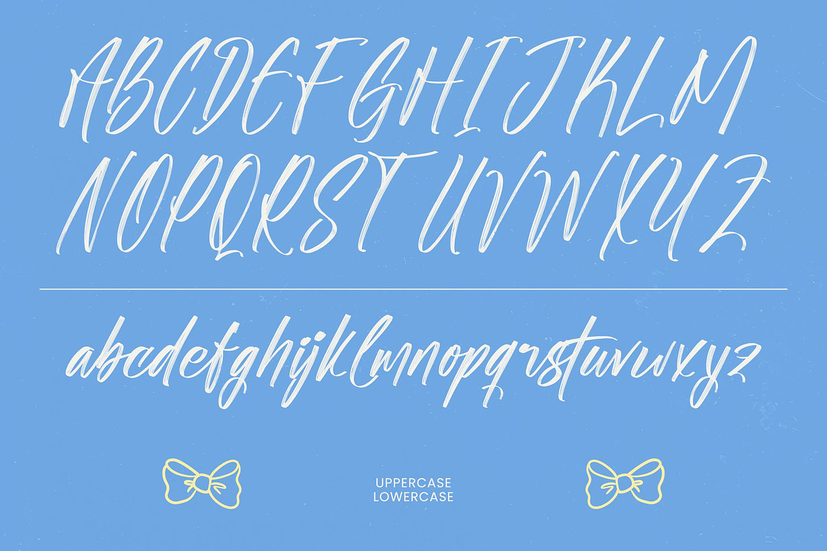Shade Crush Bold Brush Font, a Script Font by stylishtype.co (Photo 18 of 20)