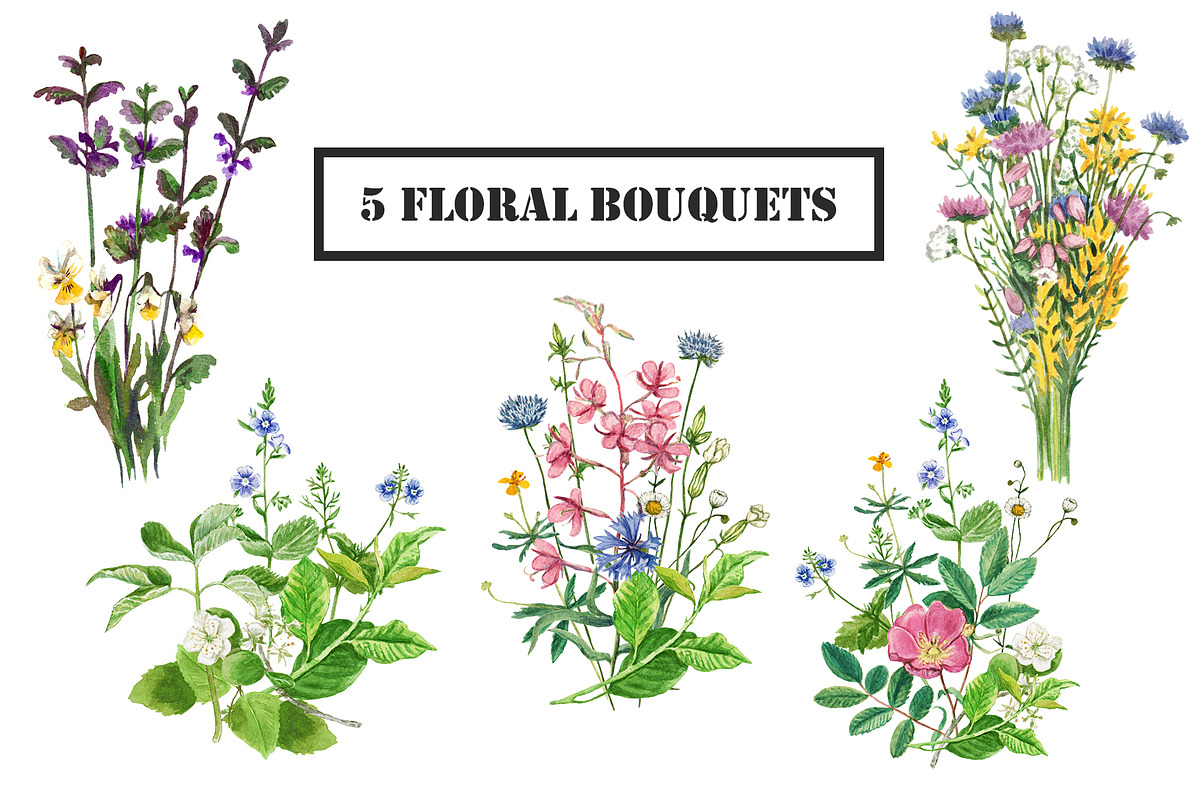 Big collection of wild flora, an Object Graphic by Robusta