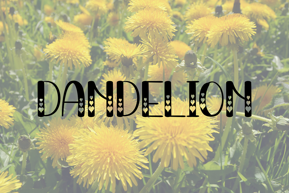 Magnolia, a Script Font by InermediaSTUDIO (Photo 7 of 8)