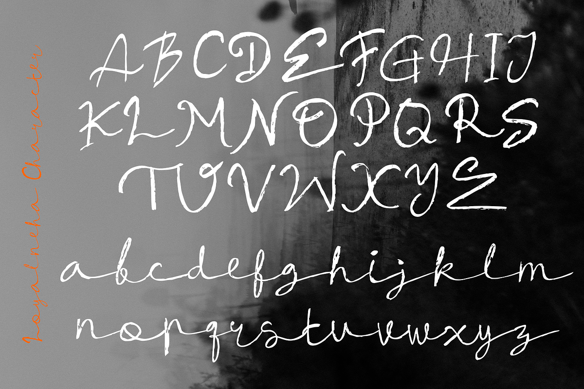 Loyalneha Brush Script, a Script Font by madeDeduk (Photo 2 of 8)