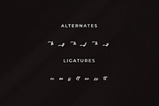 Neckaratt, a Script Font by Integritype Studio (Thumbnail 11 of 15)