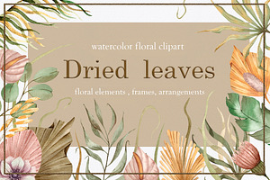 Watercolor Dried Leaves Collection.