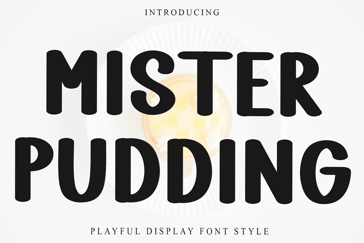 Mister Pudding, a Serif Font by InermediaSTUDIO (Photo 1 of 8)