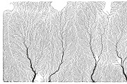 Growth - 50 Backgrounds, a Texture Graphic by GarryKillian (Thumbnail 3 of 51)