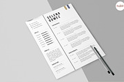 Professional Cv Template, a Resume Template by Emaholic Template (Thumbnail 5 of 5)
