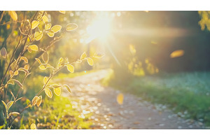 Sunlit path through lush green, a Nature Photo by Lermont51