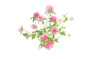 Vector object brushes. Clover, a Brush Add-On by Peolla (Thumbnail 10 of 14)
