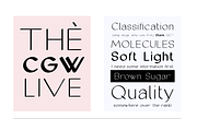Font Duo Cofley Callidar, a Handwritten Font by Gittype (Thumbnail 13 of 25)