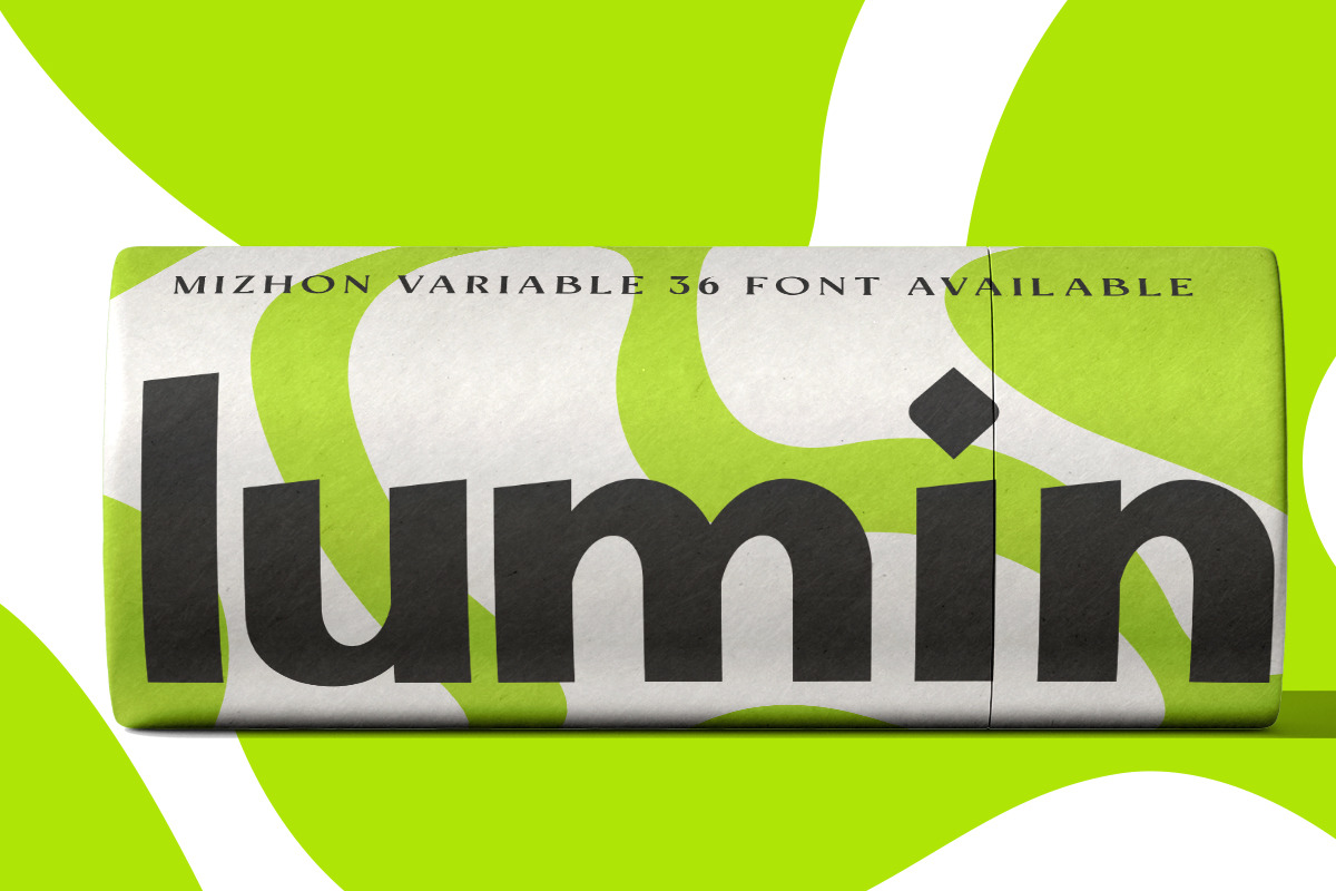 Mizhon | 36 Fonts, a Serif Font by Skinny Type (Photo 7 of 15)