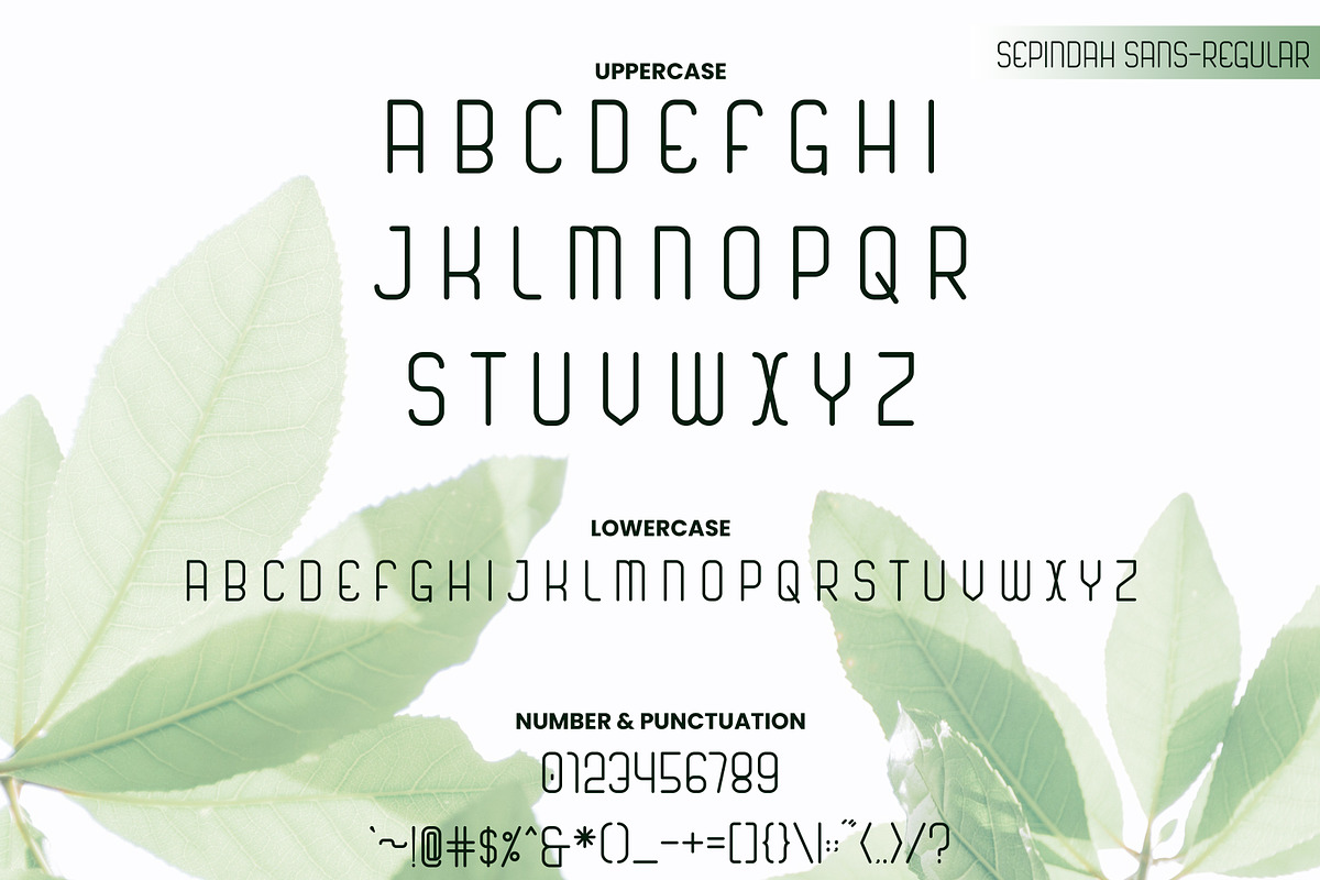 Sepindah Font Duo Sans & Script, a Handwritten Font by Iwanistic (Photo 5 of 15)