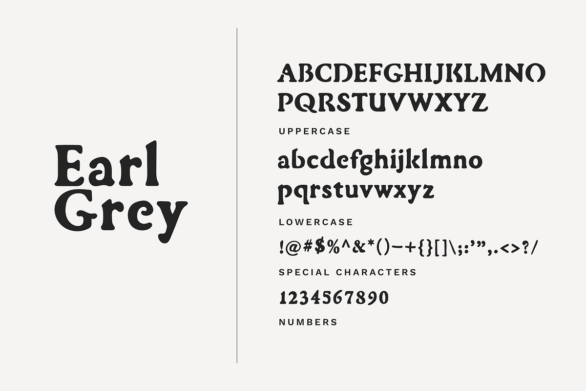 Earl Grey - Handmade Cozy Serif, a Serif Font by Dynamo Ultima (Photo 4 of 11)
