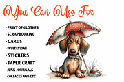 Summer Dachshund Dog PNG Clipart, an Animal Illustration by CreationArt (Thumbnail 5 of 7)