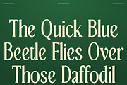 CS Reign Drawn, a Serif Font by Craft Supply Co. (Thumbnail 6 of 8)