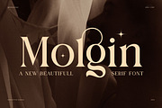 Molgin Elegant Serif Font, a Serif Font by Perfectype (Thumbnail 1 of 8)