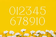 Quisking - Display Serif Font, a Font by RockboyStd (Thumbnail 11 of 12)