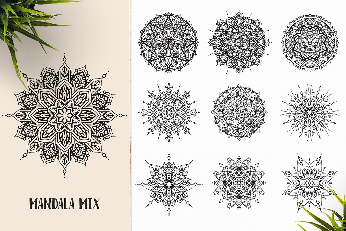 530 Vector Mandala Ornaments, an Animal Illustration by pixaroma (Photo 41 of 55)
