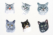 39 Realistic Watercolor Cat Portrait, an Animal Illustration by ArtbyHien (Thumbnail 7 of 8)