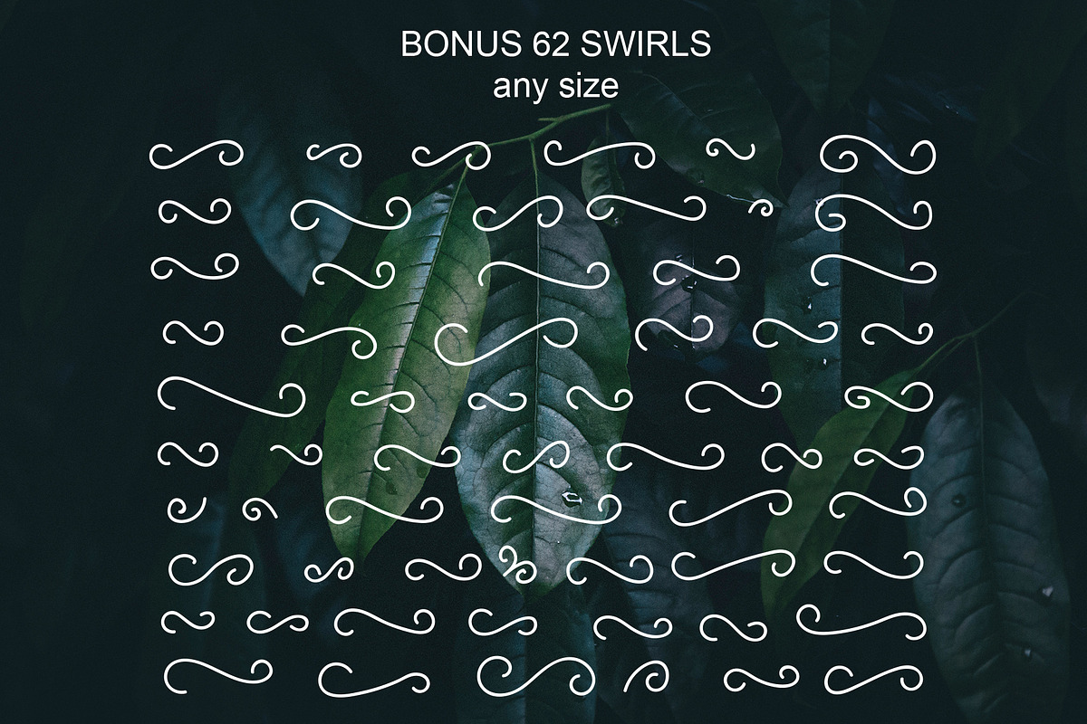 Salahe - a funcy cursive font preview 3