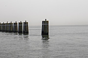 Foggy Photo Bundle, a Nature Photo by Full Circle Design Studio (Thumbnail 6 of 8)