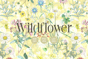 Botanical Wildflower SeamlessPattern, a Pattern Graphic by Talip Memis (Thumbnail 1 of 10)