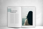 Entity Magazine, a Magazine Template by design_pick (Thumbnail 9 of 22)