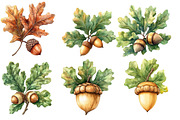 Watercolor Acorns & Oak Leaves, an Illustration by Designworld (Thumbnail 2 of 5)