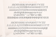 More Bright Serif Duo, a Serif Font by zeenesia (Thumbnail 16 of 18)