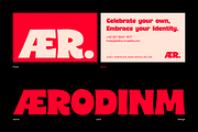 Carity Font – Bold Modern Display, a Serif Font by Koplexs Studio (Thumbnail 3 of 12)