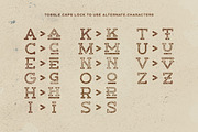 Buckhorn Typeface, a Slab Serif Font by Tugcu Design Co. (Thumbnail 4 of 8)