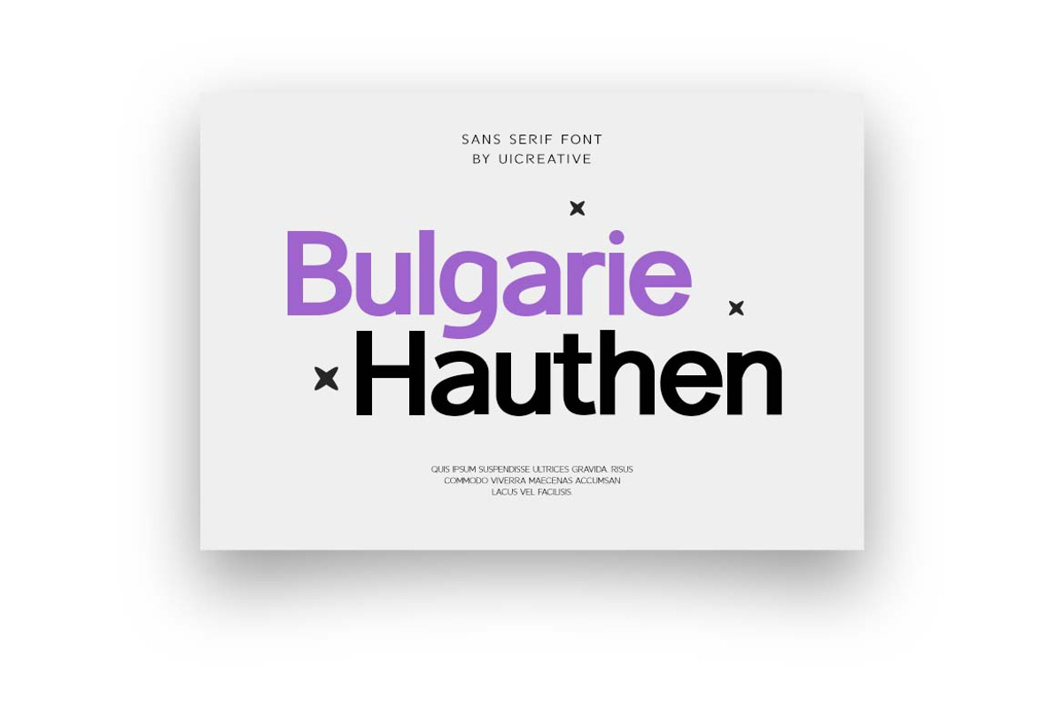 Cohabited Sans Serif Family Font, a Sans Serif Font by UICreative (Photo 3 of 13)