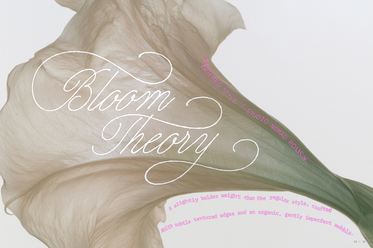 Studio Nomad // Script Family, a Script Font by PeachCreme (Photo 3 of 23)