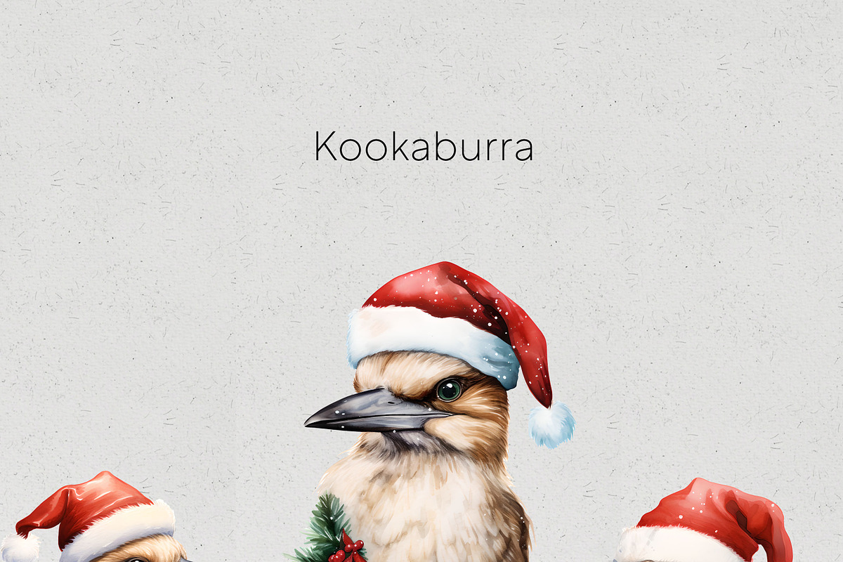 Christmas Australian Native Birds, a Seasonal Illustration by Pawcasso's Portraits (Photo 6 of 9)