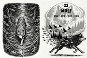 Wolf Wildlife Engraving Graphics, an Animal Illustration by DENIDigitalArtSudio (Thumbnail 1 of 12)