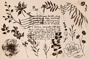 Vintage Maps. Stamp Brushes, a Brush Add-On by Julia_Raketic (Thumbnail 14 of 15)