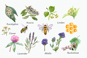 Watercolor Honey Garden Clip Art