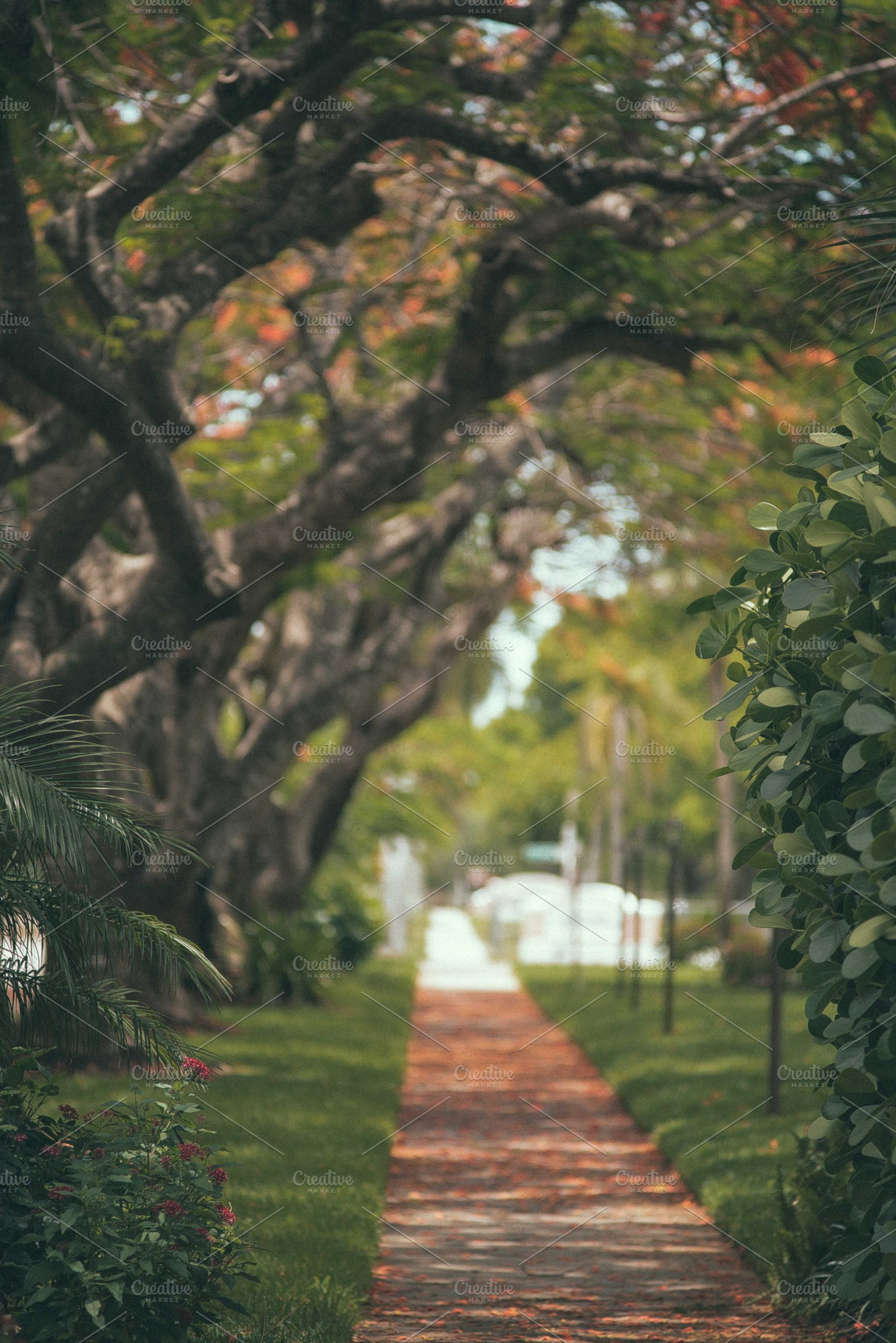 Because Lets Talk A Walk