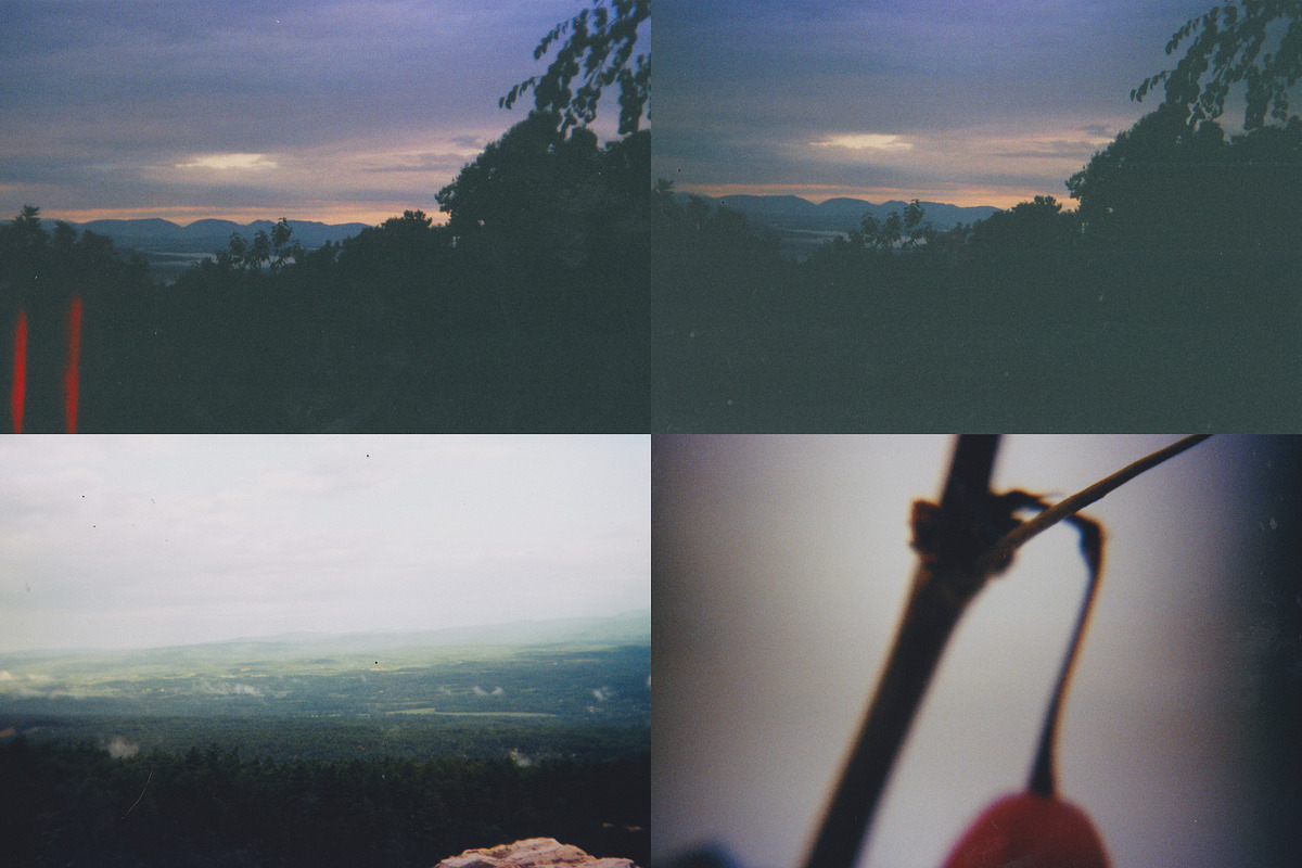 45 Nature Snapshots (Lomo LC-A), a Nature Photo by Studio Rho (Photo 11 of 11)