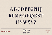 HST - Vermiga del Rose, a Serif Font by ilhamtaro (Thumbnail 7 of 10)