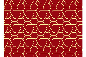 The geometric pattern with lines, an Illustration by RODINA