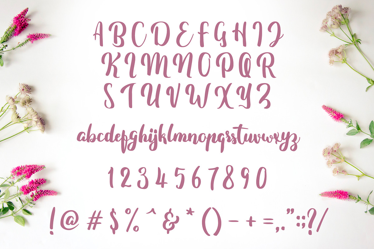 Fitamint - Script, a Script Font by SemutHitam Creative (Photo 2 of 7)