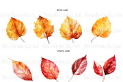 Fall Leaves Clipart, Autumn Leaf PNG, a Decorative Illustration by BrushstrokeArtGB (Thumbnail 3 of 9)